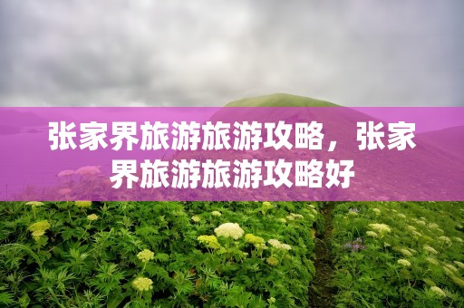 张家界旅游旅游攻略，张家界旅游旅游攻略好