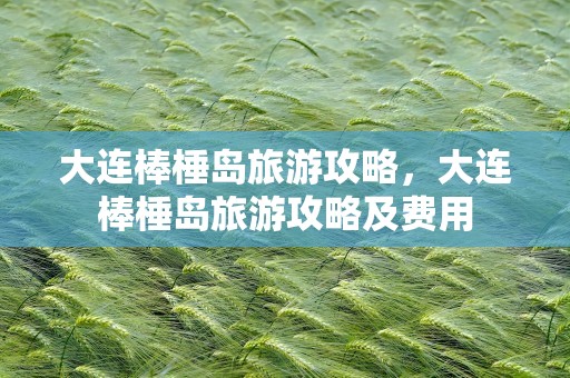 大连棒棰岛旅游攻略，大连棒棰岛旅游攻略及费用