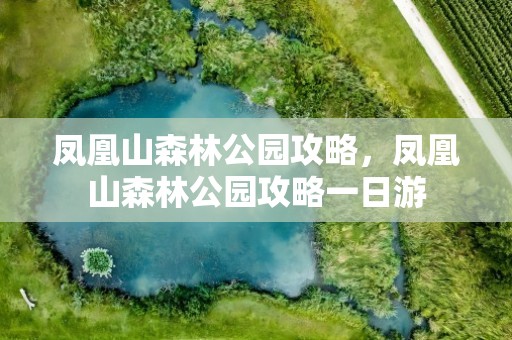 凤凰山森林公园攻略，凤凰山森林公园攻略一日游