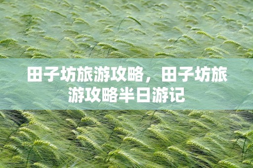 田子坊旅游攻略，田子坊旅游攻略半日游记
