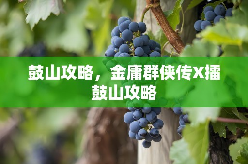 鼓山攻略，金庸群侠传X擂鼓山攻略