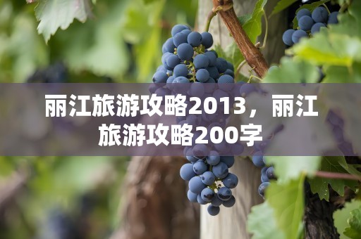 丽江旅游攻略2013，丽江旅游攻略200字