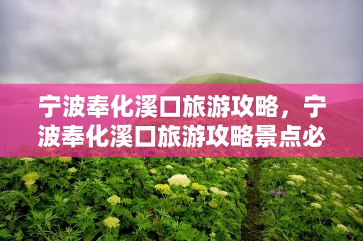 宁波奉化溪口旅游攻略，宁波奉化溪口旅游攻略景点必去