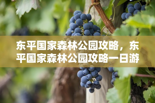 东平国家森林公园攻略，东平国家森林公园攻略一日游