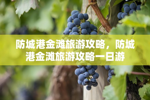 防城港金滩旅游攻略，防城港金滩旅游攻略一日游