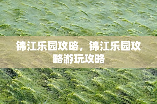 锦江乐园攻略，锦江乐园攻略游玩攻略