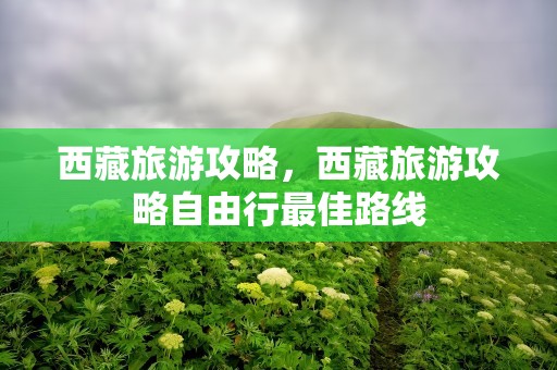 西藏旅游攻略，西藏旅游攻略自由行最佳路线