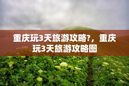 重庆玩3天旅游攻略?，重庆玩3天旅游攻略图