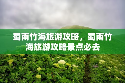 蜀南竹海旅游攻略，蜀南竹海旅游攻略景点必去