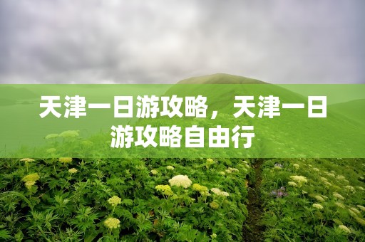 天津一日游攻略，天津一日游攻略自由行