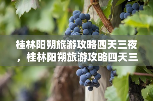 桂林阳朔旅游攻略四天三夜，桂林阳朔旅游攻略四天三夜一般多少钱