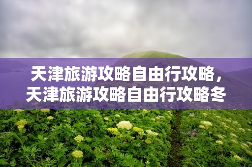 天津旅游攻略自由行攻略，天津旅游攻略自由行攻略冬季