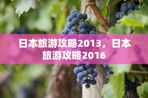 日本旅游攻略2013，日本旅游攻略2016