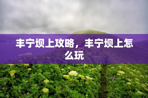 丰宁坝上攻略，丰宁坝上怎么玩