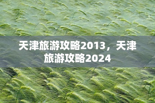 天津旅游攻略2013，天津旅游攻略2024