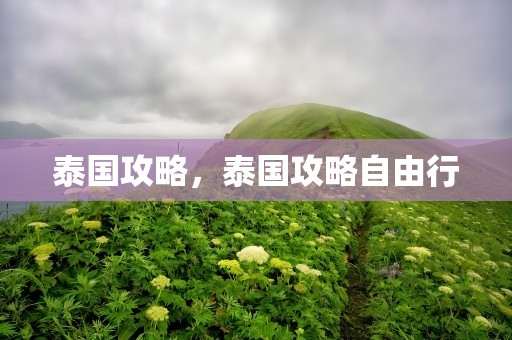 泰国攻略，泰国攻略自由行