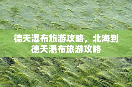 德天瀑布旅游攻略，北海到德天瀑布旅游攻略