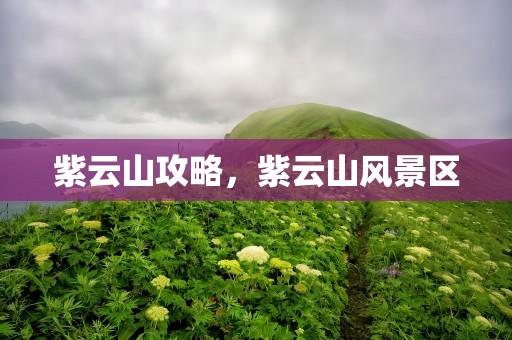 紫云山攻略，紫云山风景区
