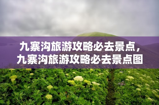 九寨沟旅游攻略必去景点，九寨沟旅游攻略必去景点图片