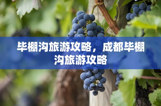 毕棚沟旅游攻略，成都毕棚沟旅游攻略