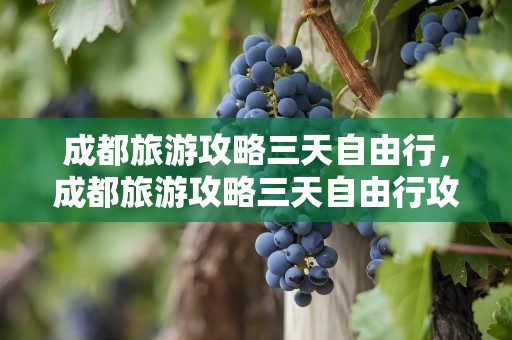 成都旅游攻略三天自由行，成都旅游攻略三天自由行攻略
