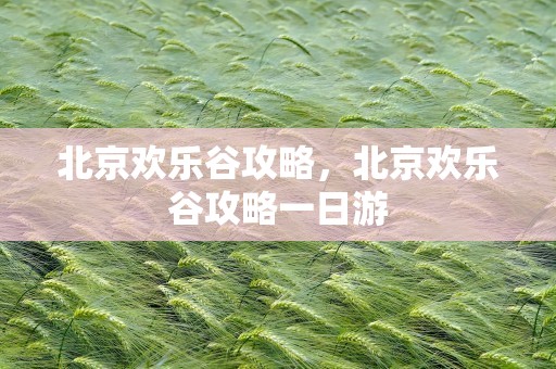北京欢乐谷攻略，北京欢乐谷攻略一日游