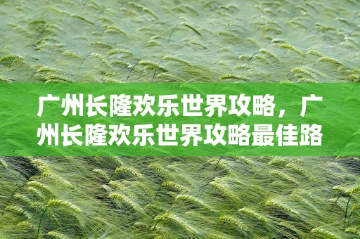 广州长隆欢乐世界攻略，广州长隆欢乐世界攻略最佳路线