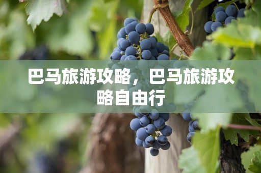 巴马旅游攻略，巴马旅游攻略自由行