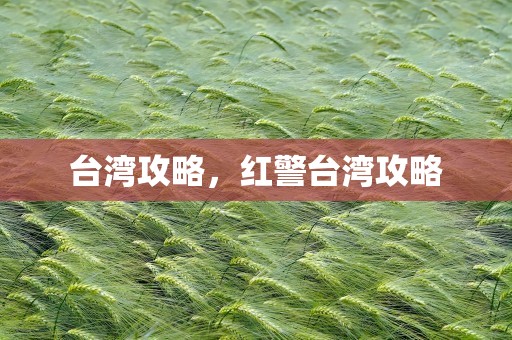 台湾攻略，红警台湾攻略