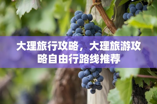 大理旅行攻略，大理旅游攻略自由行路线推荐