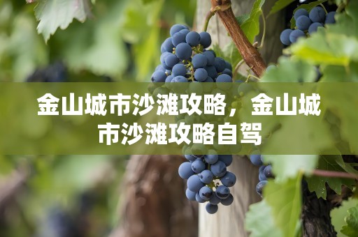 金山城市沙滩攻略，金山城市沙滩攻略自驾