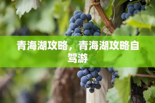 青海湖攻略，青海湖攻略自驾游