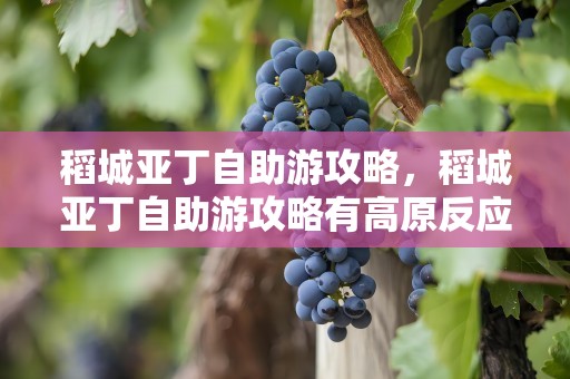 稻城亚丁自助游攻略，稻城亚丁自助游攻略有高原反应吗