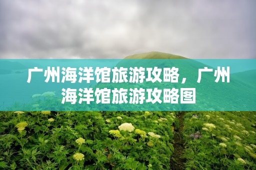 广州海洋馆旅游攻略，广州海洋馆旅游攻略图