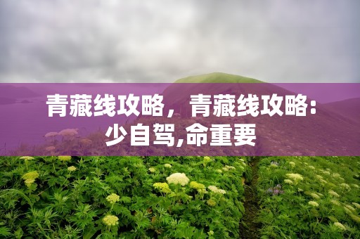 青藏线攻略，青藏线攻略:少自驾,命重要