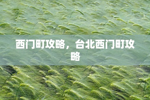 西门町攻略，台北西门町攻略