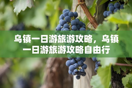 乌镇一日游旅游攻略，乌镇一日游旅游攻略自由行