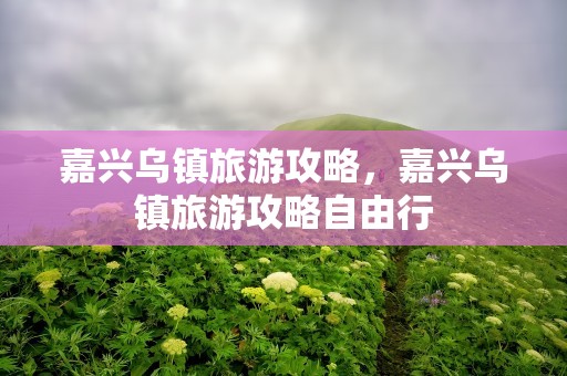 嘉兴乌镇旅游攻略，嘉兴乌镇旅游攻略自由行