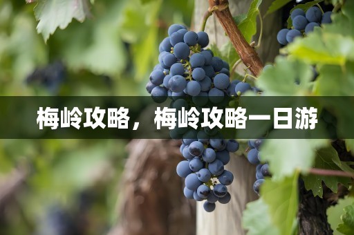 梅岭攻略，梅岭攻略一日游