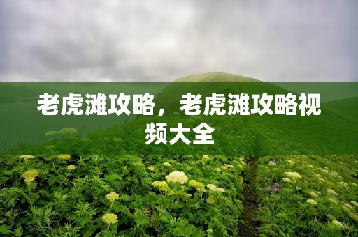 老虎滩攻略，老虎滩攻略视频大全