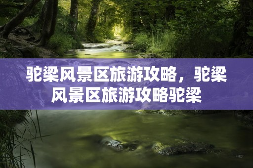 驼梁风景区旅游攻略，驼梁风景区旅游攻略驼梁