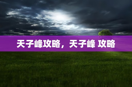 天子峰攻略，天子峰 攻略
