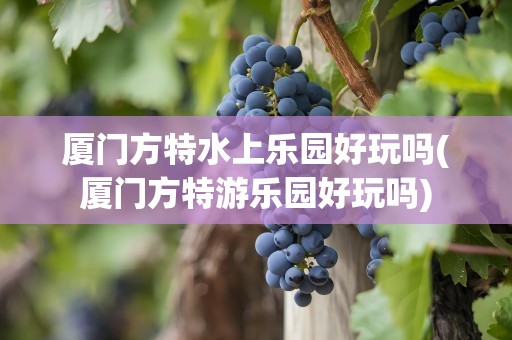 厦门方特水上乐园好玩吗(厦门方特游乐园好玩吗)