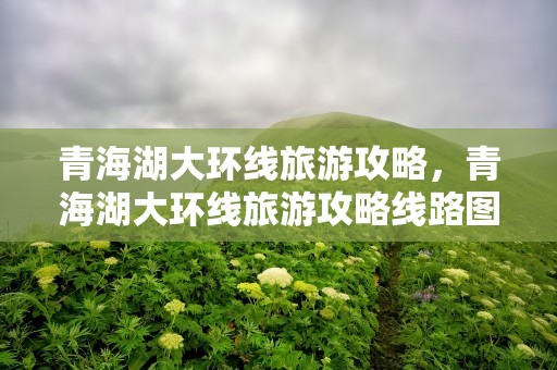 青海湖大环线旅游攻略，青海湖大环线旅游攻略线路图