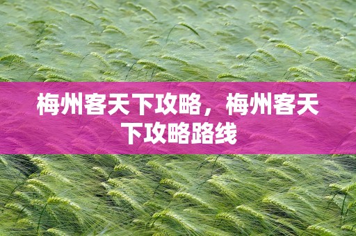 梅州客天下攻略，梅州客天下攻略路线
