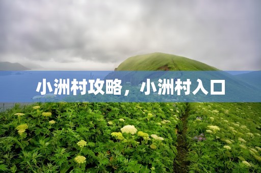 小洲村攻略，小洲村入口