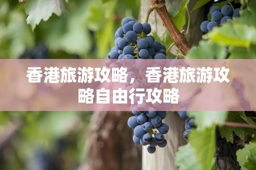 香港旅游攻略，香港旅游攻略自由行攻略