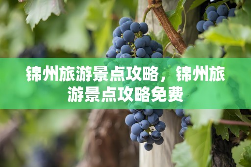 锦州旅游景点攻略，锦州旅游景点攻略免费