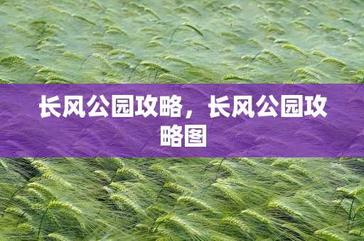 长风公园攻略，长风公园攻略图