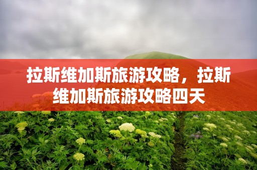 拉斯维加斯旅游攻略，拉斯维加斯旅游攻略四天